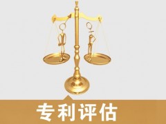 專利的價(jià)值評(píng)估，新手賣家必看