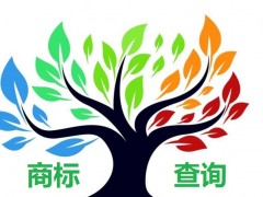 如何應(yīng)對商標(biāo)查詢盲期？